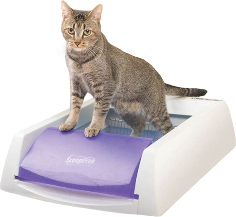 chewy scoop free electric litter box|self cleaning litter boxes.